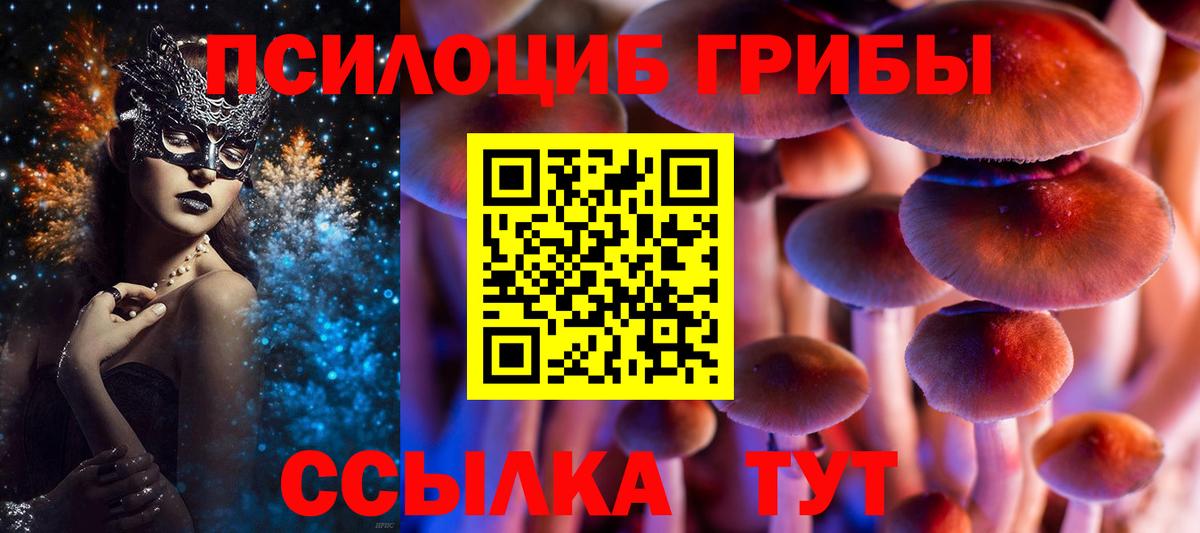 Псилоцибиновые грибы мицелий Кисловодск